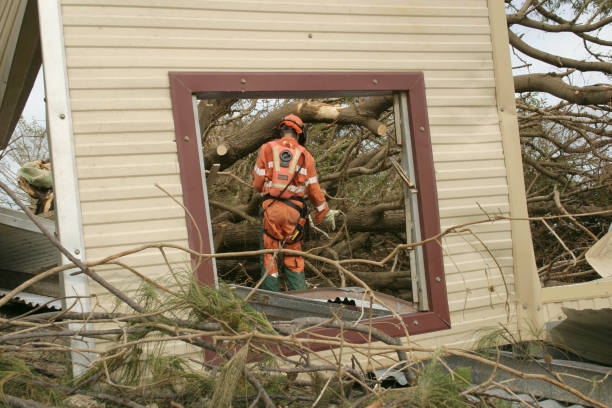 How Our Tree Care Process Works  in  Weston, WI