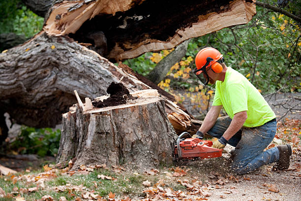 Soil Testing and Treatment in Weston, WI